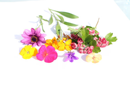 fresh colorful spring flowers の写真素材