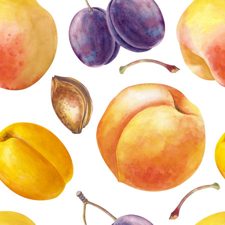 A watercolor seamless fruit pattern is isolated on a white background. Peaches, apricots, plums with pits and twigs. Botanical seamless background with juicy seasonal fruits. For packaging, wallpaper, kitchen textiles.の写真素材