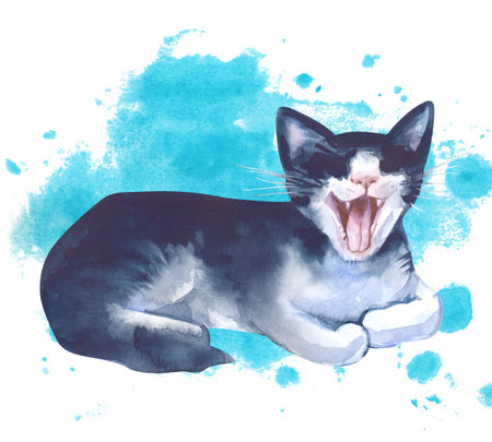 A yawning black and white cat in a relaxed pose against a watercolor turquoise spot. The watercolor illustration is isolated on a white background.の写真素材
