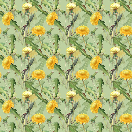 Watercolor seamless pattern with yellow dandelion flowers, buds and green leaves on a light green background, hand-drawn. A botanical seamless template for wallpaper, packaging, textiles, and tableware.の写真素材