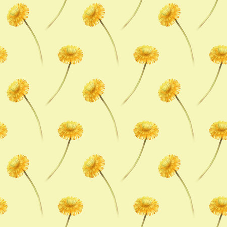 Watercolor seamless pattern with yellow dandelion flowers on a yellow background. Botanical...