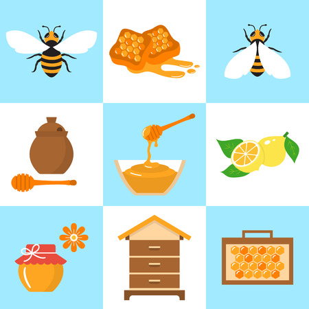 Honey beekeeping vector flat icons setのイラスト素材