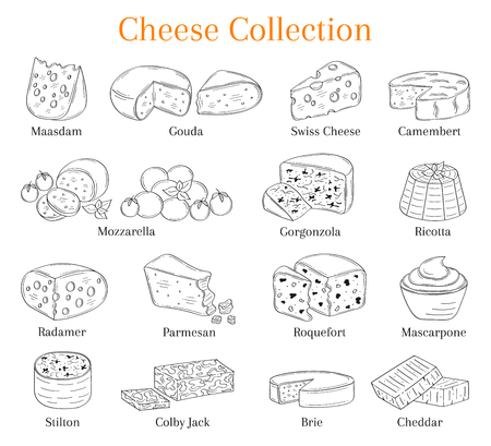 Vector set of different types of cheese, hand drawn illustration isolated on chalkboard background.のイラスト素材