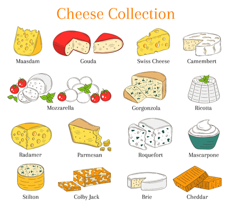 Vector Set of different types of cheese, hand drawn illustration isolated on white background.のイラスト素材
