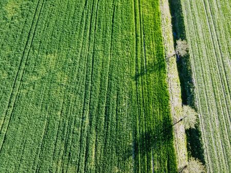 aerial view of agricultural landscape