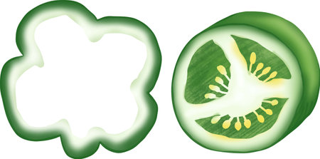 green bell pepperのイラスト素材