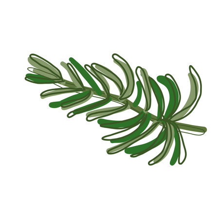food plate decorationsのイラスト素材