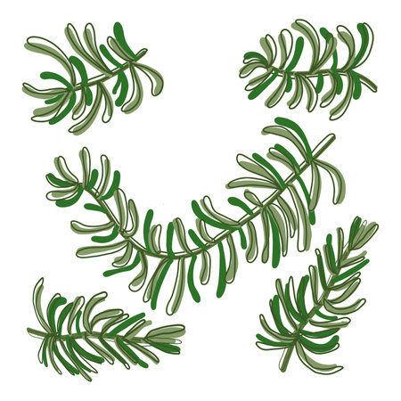 food plate decorationsのイラスト素材