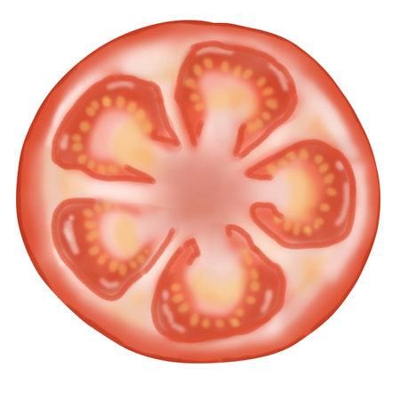 tomatoes for cookingのイラスト素材