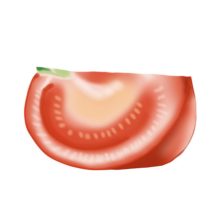 tomatoes for cookingのイラスト素材