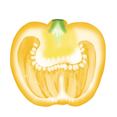 yellow bell pepperのイラスト素材