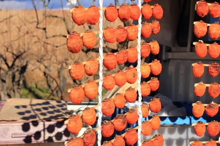 Dried japanese persimmonの写真素材