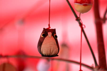 Hinamatsuri (Hina-matsuri), also called Doll's Day or Girls' Day, is a special day in Japan.の写真素材
