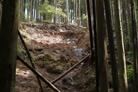 During our hike, we found traces of a landslide. Landslides, also known as landslips, are several...