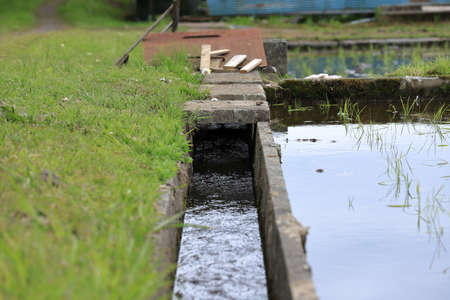 Streams are important as conduits in the water cycle, instruments in groundwater recharge, and corridors for fish and wildlife migration.の写真素材