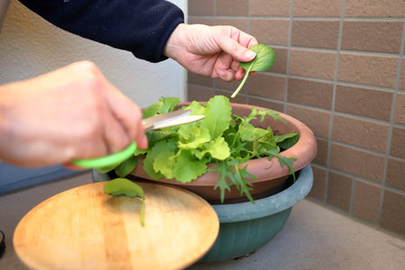 A woman in a gray T-shirt and black jeans is preparing a salad in a clay pot.