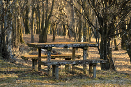 Wooden table and benches in the autumn forest. Beautiful nature.