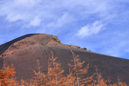 Teide National Park, Tenerife, Canary Islands, Spainの写真素材