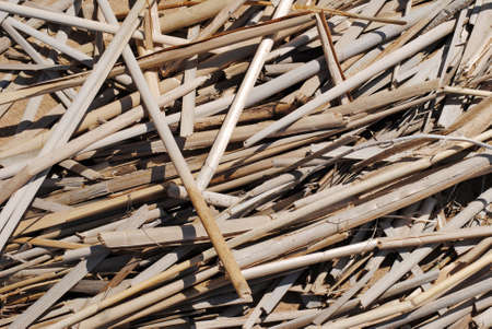 background from straw. dry stemsの写真素材