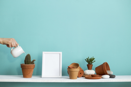Modern room decoration with picture frame mockup. White shelf against pastel turquoise wall with pottery and succulent plant. Hand watering potted cactus plant.の写真素材