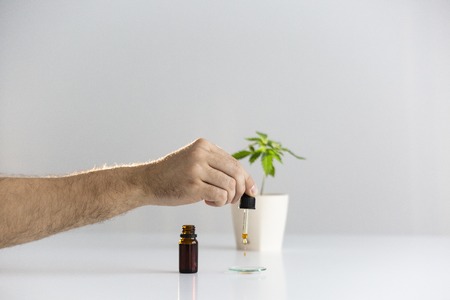 White table with Marijuana plant in pottery. Hand dropping CBD oil from pipette to the watch glassの写真素材