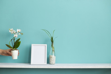 Modern room decoration with Picture frame mockup. White shelf against pastel turquoise wall with spider plant cuttings in water and hand putting down orchid.の写真素材