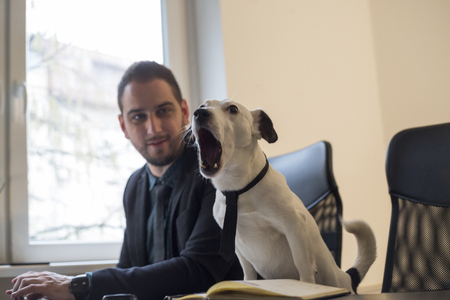 happy businessman working on laptop in office sitting next to dog with a tie by window black table...