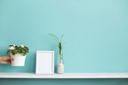 Modern room decoration with Picture frame mockup. White shelf against pastel turquoise wall with spider plant cuttings in water and hand putting down violet.の写真素材