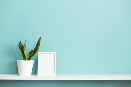 Modern room decoration with Picture frame mockup. White shelf against pastel turquoise wall with potted snake plant.の写真素材