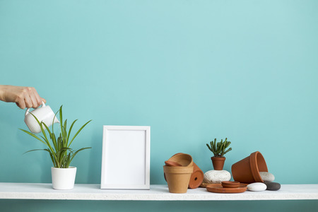Modern room decoration with picture frame mockup. White shelf against pastel turquoise wall with pottery and succulent plant. Hand watering potted spider plant.の写真素材
