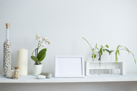 Modern room decoration with picture frame mockup. Shelf against white wall with decorative candle, glass and rocks. Plant cuttings in test tubes.の写真素材