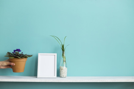Modern room decoration with Picture frame mockup. White shelf against pastel turquoise wall with spider plant cuttings in water and hand putting down violet.の写真素材