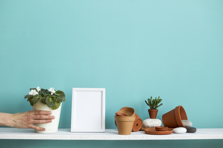 Modern room decoration with picture frame mockup. White shelf against pastel turquoise wall with pottery and succulent plant. Hand putting down potted violet plant.の写真素材