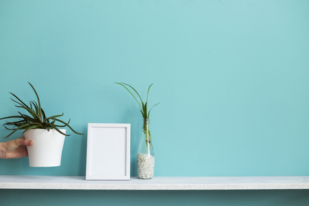 Modern room decoration with Picture frame mockup. White shelf against pastel turquoise wall with spider plant cuttings in water and hand putting down succulent.の写真素材