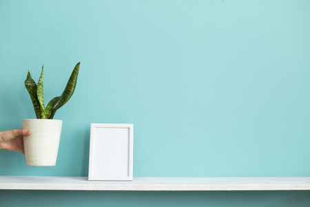 Modern room decoration with Picture frame mockup. White shelf against pastel turquoise wall with hand putting down potted snake plant.の写真素材