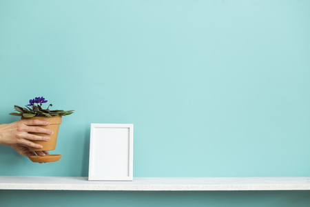 Modern room decoration with Picture frame mockup. White shelf against pastel turquoise wall with hand putting down potted violet plant.の写真素材