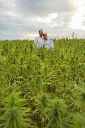 Man and woman proudly standing in their marijuana CBD hemp plants field. They are happy and satisfied.の写真素材