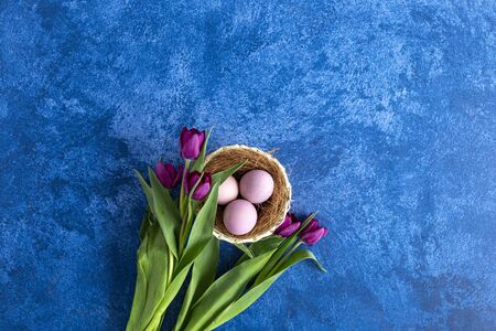 Colorful Easter eggs in nest and tulips on deep blue background. Easter holiday decorations , Easter concept background.の写真素材