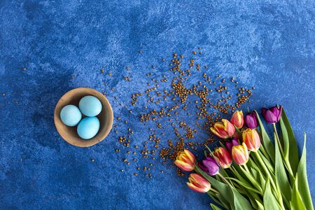 Colorful Easter eggs in nest and tulips on deep blue background. Easter holiday decorations , Easter concept background.の写真素材