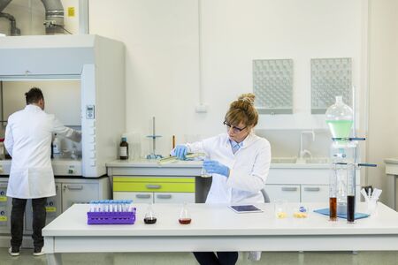 Female chemical scientist wearing glasses works with hemp CBD and CBDa oils in laboratory. She uses latex gloves, glass tubes and erlenmeyer flasks. Healthcare pharmacy from cannabis seeds.の写真素材