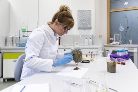 Scientist spills marijuana hemp and seeds on white paper during experiment in laboratory. CBD and CBDa oils and glass tubes are on table. Healthcare pharmacy from cannabis.の写真素材
