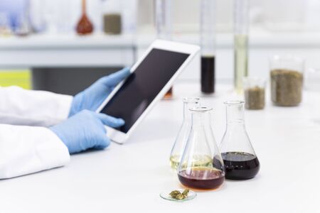 Hands with medical gloves typing on white tablet over laboratory desk. Hemp seeds, marijuana bud,...