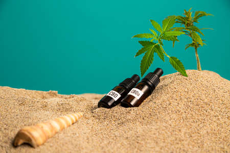 A product of CBD and CBDa oil positioned in the sand, while two twigs of the marijuana plant protrude from it. The background is half in the sand, while one part is something like a blue wall. Sea shells in the sand can also be seen.の写真素材