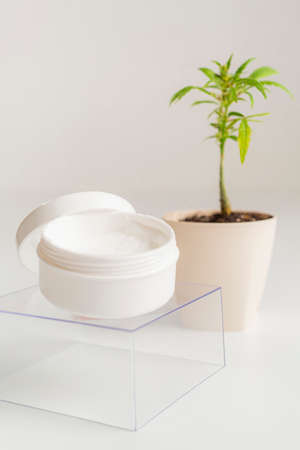 CBD body cream product and marijuana hemp plant on white background. The product bowl with the cream...