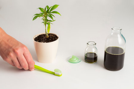 Hand takes a toothbrush with applied toothpaste. Around it is a marijuana plant in a white flowerpot, CBD products in the form of oil in a bottle and a sample of CBD paste. The background is predominantly white.の写真素材