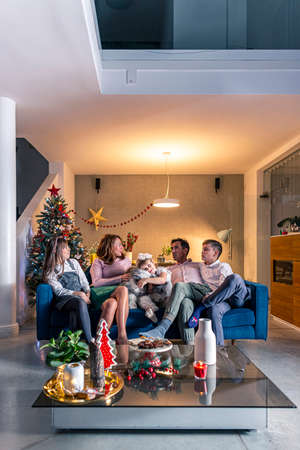 A happy family is sitting on the couch in living room, which is decorated in the Christmas spirit. Also, their dog is on the couch with them, with whom the children cuddle and play.の写真素材