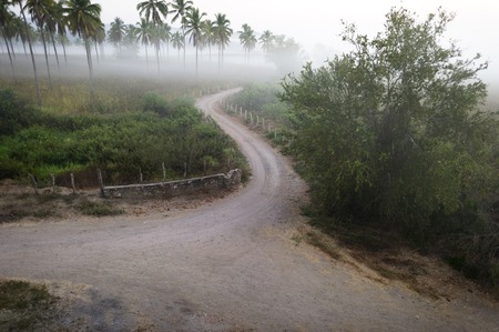 Country road is a winding fence lined country road in the early mist of the morning.の写真素材