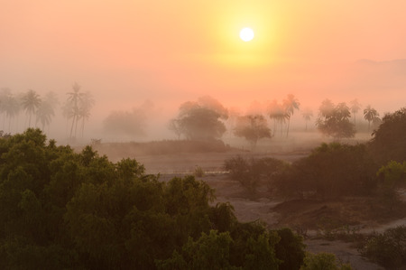Jungle sunrise palm trees is a scenic landscape of the the morning jungle sunrise with the sun just peeking over the mountain top.の写真素材