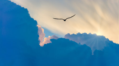 A Bird Silhouette is Soaring Above the Clouds Moving toward the Sun Raysの写真素材