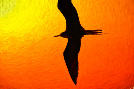 A Single Bird Silhouette Flying With Wings Spread In A n Abstract Painting Style Illustrationの写真素材